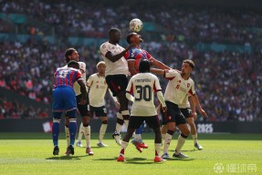 九游网页版 -足总杯赛程吃紧，奥兰多魔术冲刺阶段防线松动，压力陡增，数据趋势出现新变化的简单介绍